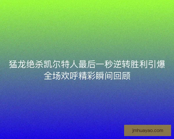 猛龙绝杀凯尔特人最后一秒逆转胜利引爆全场欢呼精彩瞬间回顾